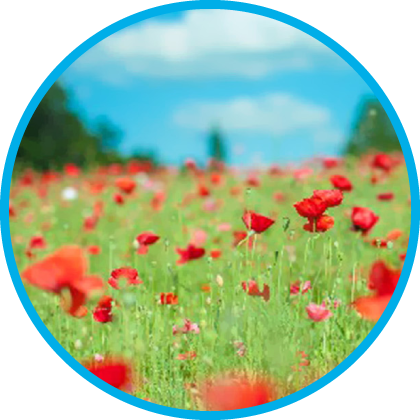 住宅プラン相談会